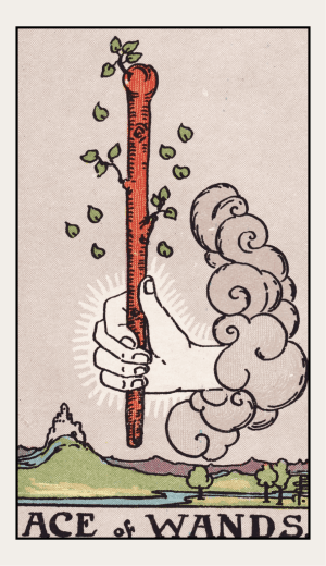 Ace of Wands