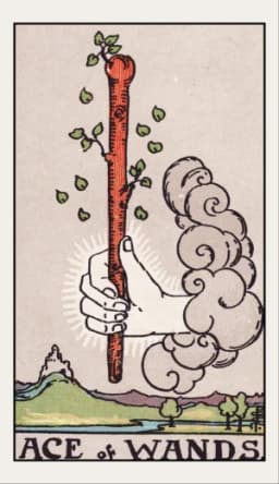 Ace of Wands