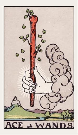 Ace of Wands