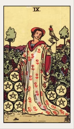 Nine of Pentacles