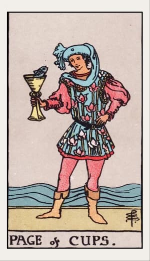 Page of Cups