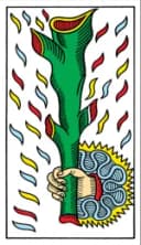 Ace of Wands Tarot de Marseille