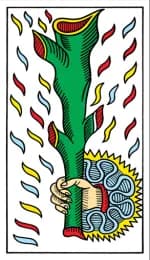 Ace of Wands Tarot de Marseille